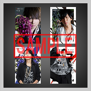 シド トレーディングフォト