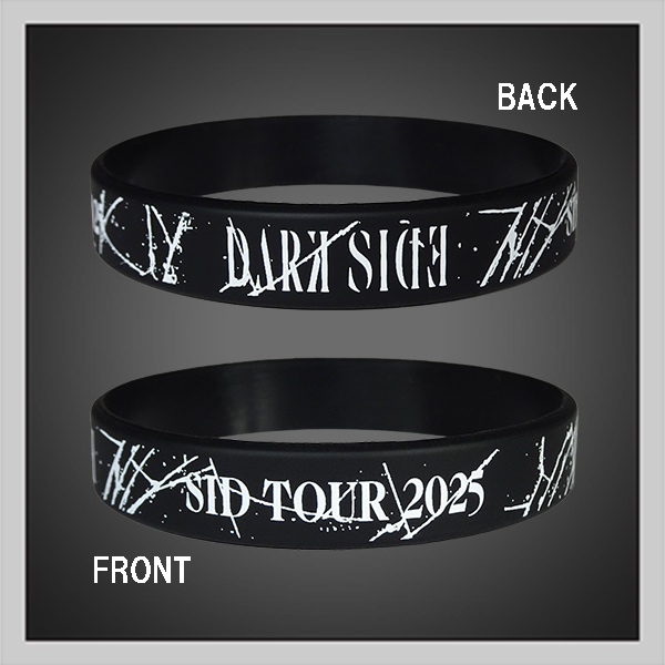 SID TOUR 2025 ～Dark side～ SPECIAL PAGE | SID MOBILE